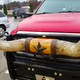 Image for article titled This Ram 3500 In A Whataburger Parking Lot Is The Most 'Texas' Truck I've Ever Seen